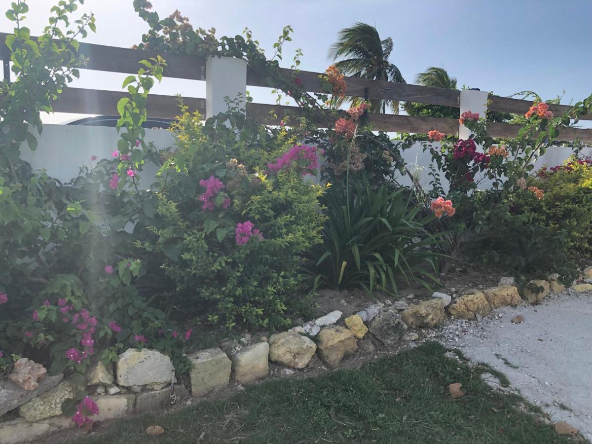 مونتيغو باي Airport Beach Hotel المظهر الخارجي الصورة